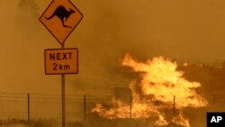 FILE - A fire burns in the grass near Bumbalong, south of the Australian capital, Canberra, Feb. 1, 2020. Conservationists fear the devastating wildfires of 2019-’20 could be a sign of things to come.   