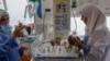 Premature Babies Evacuated from Gaza’s Shifa Hospital 