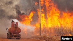 FILE — A firefighter tries to extinguish flames in a sugarcane plantation near Dumon city, Brazil, Aug. 24, 2024.