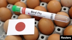 FILE - A test tube, eggs and a paper Japanese flag are seen in this picture illustration, Jan. 14, 2023. 