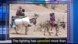 News Words: Uproot