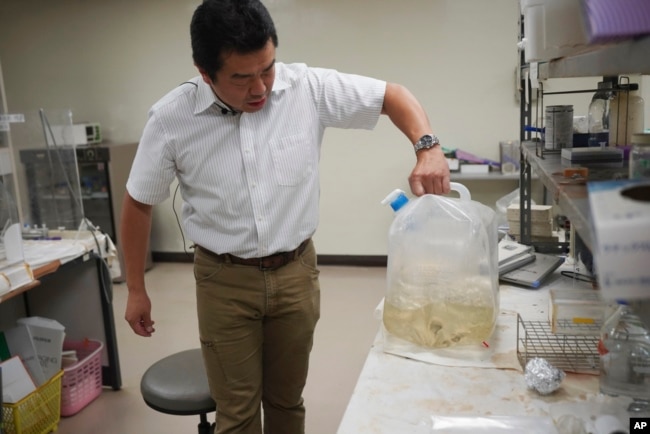 University of Tokyo environmental chemistry professor Katsumi Shozugawa shows the groundwater he collected from a no-go zone just outside of the Fukushima Daiichi nuclear plant complex on July 19, 2023, in Tokyo. Shozugawa said radioactivity of the treated water is so low that once it hits the ocean it will quickly disperse and become almost undetectable.