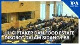 UU Ciptaker dan Food Estate Disorot dalam Sidang PBB
