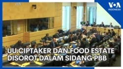 UU Ciptaker dan Food Estate Disorot dalam Sidang PBB
