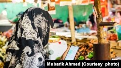 FILE - Photo of a woman using the Daariz app in a market in the city of Hargeisa, Somaliland. Photo taken in May 2023 and provided by the Sahamiye Foundation.