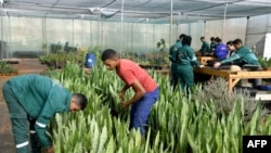 Youths attend a practical course at Bouregreg Med-O-Med, Morocco's first gardening school, in the coastal city of Sale, on November 15, 2023