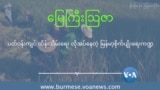 ပတ်ဝန်းကျင် ထိန်းသိမ်းရေး လိုအပ်နေတဲ့ မြန်မာ့စိုက်ပျိုးရေးကဏ္ဍ
