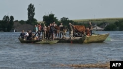 Ukrainian servicemen evacuate local residents and cows on a barge from the flooded village of Afanasiyivka, Mykolaiv region, on June 9, 2023, following damage sustained at Kakhovka hydroelectric power plant dam.