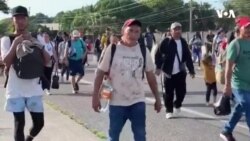 Harris immiqrasiyada prokurorluq təcrübəsinə arxalanır, Tramp isə kütləvi deportasiya vəd edir