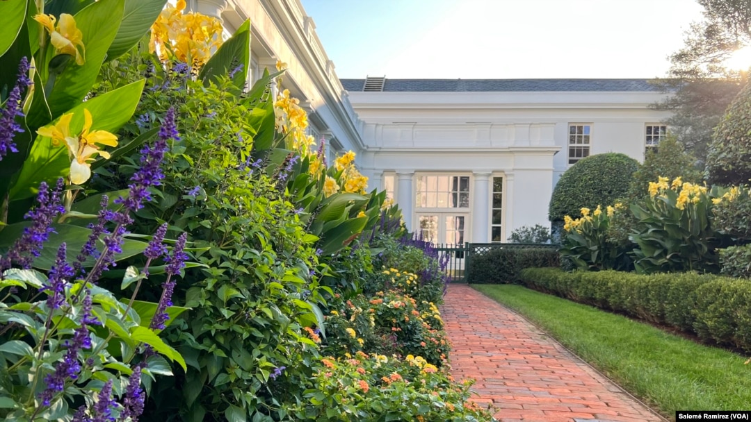 Los árboles Y Las Flores Del Jardín De La Casa Blanca