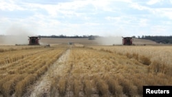 In this file photo, two combines harvest wheat near Moree, Australia, October 27, 2020. (REUTERS/Jonathan Barrett/File Photo)