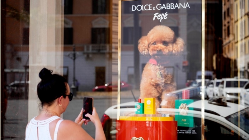 Dolce & Gabbana launches new perfume for dogs, but some vets and pet-owners are skeptical