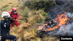 Imagen usada con fines ilustrativos sobre un incendio forestal registrado en Santa Isabel, Ecuador. Santa Isabel es un cantón occidental de la provincia de Azuay. Foto: Gobierno de Ecuador.