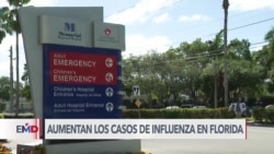 Advierten sobre incremento de contagios de influenza en Florida 