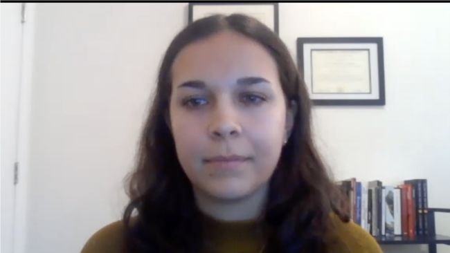 Aleksandra Karpi iz Fridom hausa o izborima i stanju demokratije u Srbiji
