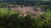 Lahan yang gundul terlihat di area deforestasi hutan Amazon yang diidentifikasi oleh Lembaga Chico Mendes di negara bagian Acre, Brazil, akhir tahun 2022 lalu (foto: dok). 