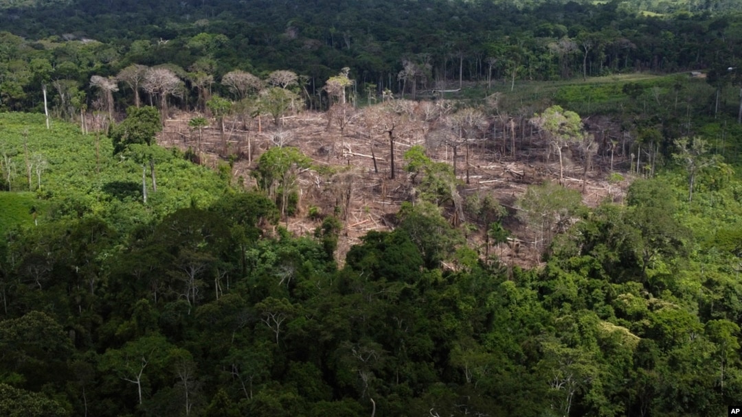 Lahan yang gundul terlihat di area deforestasi hutan Amazon yang diidentifikasi oleh Lembaga Chico Mendes di negara bagian Acre, Brazil, akhir tahun 2022 lalu (foto: dok). 