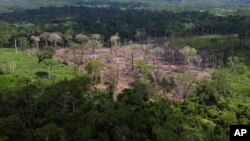 FILE - Trees lie in an area of recent deforestation identified by agents of the Chico Mendes Institute in the Chico Mendes Extractive Reserve, Acre state, Brazil, Dec. 8, 2022.