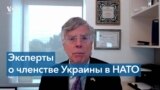 46 видных политологов в США выступили за присоединение Украины к НАТО 