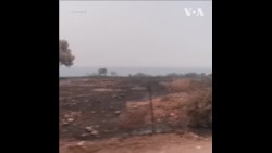 希腊罗德岛野火肆虐 居民紧急撤离