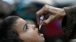 Polio vaccine campaign for thousands of children in Gaza as virus threatens already dire humanitarian crisis 