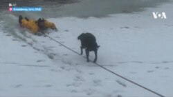 Пожарникар спаси куче од замрзнување во Јута