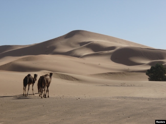 A view of the Lala Lallia star dune of the Sahara Desert, in Erg Chebbi, Morocco, as seen in an undated handout image from 2008 and obtained by Reuters on March 1, 2024. (Charlie Bristow/Handout via REUTERS)