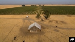 This aerial photo shows farmland in rural Solano County, Calif., Aug. 30, 2023. (AP Photo/Godofredo A. Vásquez, File)