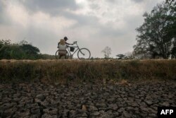 Sawah di wilayah Lamongan, Jawa Timur tampak kering karena kekurangan air akibat musim kering yang panjang. (Foto: AFP)