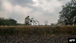 Seorang pria mendorong sepedanya sambil membawa ember berisi air melintas di depan sawah yang kering akibat kemarau di Lamongan, Jawa Timur, 30 Oktober 2014. (Foto: Juni Kriswanto/AFP Photo)