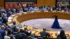 فعالان حقوق بشر: نمایندۀ منشی عمومی ملل متحد جایگزین یوناما شود