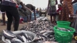 Aturan Baru untuk Mengatasi Penangkapan Ikan Ilegal di Ghana