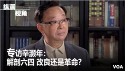 专访辛灏年：解剖六四 改良还是革命？