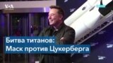 Маск против Цукерберга: у кого из миллиардеров больше шансов одержать победу в поединке? 