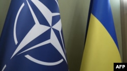 Четириесет и шест експерти за надворешна политика потпишаа отворено писмо во кое ги повикаа лидерите на НАТО Алијансата на самитот во Вилнус да определат патоказ за членство на Украина во НАТО што е можно поскоро