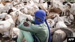 La fête de l'Aïd – appelée Tabaski en Afrique de l'Ouest –, durant laquelle les Sénégalais sacrifient un mouton, est prévue le 29 juin.