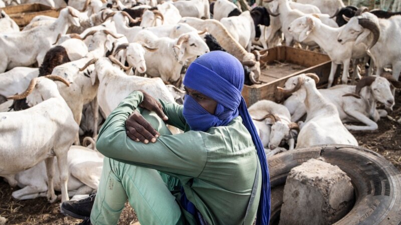 À Dakar, les émeutes meurtrières brident l'arrivée des moutons de Tabaski