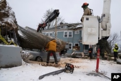 Jose Peralta, with the Oregon Department of Forestry, uses a chainsaw to cut a downed tree into smaller pieces after it fell on a car and a home, Jan. 13, 2024, in Portland, Oregon.