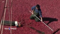 Tình trạng sử dụng lao động trẻ em tại Mỹ gia tăng