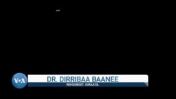 Oromoo Isiraa’el Keessa Jiraatu: Waraansa Ammaa Deemaa Jiru  Furuuf Maal Gochuu Akka Danda’amu Tilmaamuun Rakkisaadha 