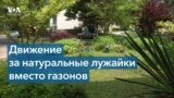 В США все чаще звучат призывы к отказу от газонов 