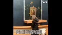 环保活动人士在卢浮宫举行抗议 