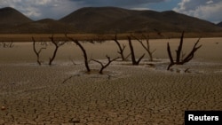 A general view shows the dry bed of the Las Lajas dam due to a severe drought, in Buenaventura, Chihuahua state, Mexico Aug. 23, 2024.