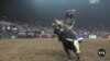 Professional Riders Brave Eight Seconds on a Bucking Bull