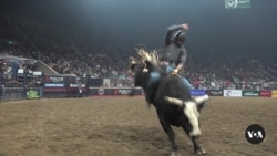 Professional Riders Brave Eight Seconds on a Bucking Bull