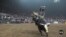 Professional Riders Brave Eight Seconds on a Bucking Bull