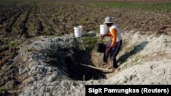 Seorang pria mengambil air dari sumur di sebuah bendungan yang mengering, 4 Agustus 2009. Pemerintah Provinsi Nusa Tenggara Timur mendorong masyarakat bersiap menghadapi musim kemarau yang lebih kering. (Foto: Reuters/Sigit Pamungkas)