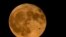 FILE - An airliner flies in front of a supermoon, the first of four this year, on July 3, 2023, in Chicago. August will feature two supermoons.