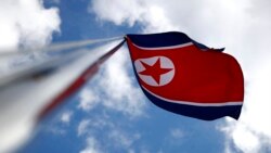 资料照：朝鲜国旗