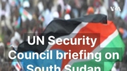 UN Security Council briefing on South Sudan